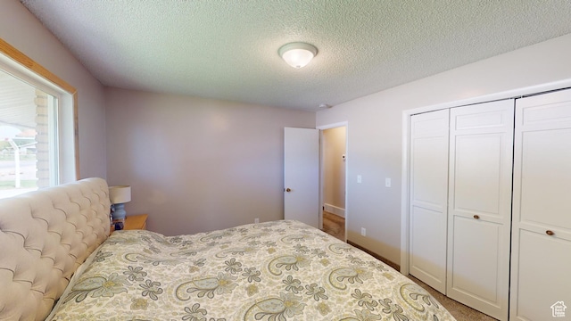 1207 S 600 W, Preston, ID 83263 - bedroom with a textured ceiling, a closet, and carpet