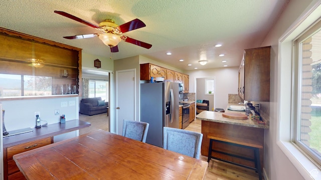1207 S 600 W, Preston, ID 83263 - kitchen with stainless steel appliances, ceiling fan, healthy amount of natural light, recessed lighting, and a textured ceiling
