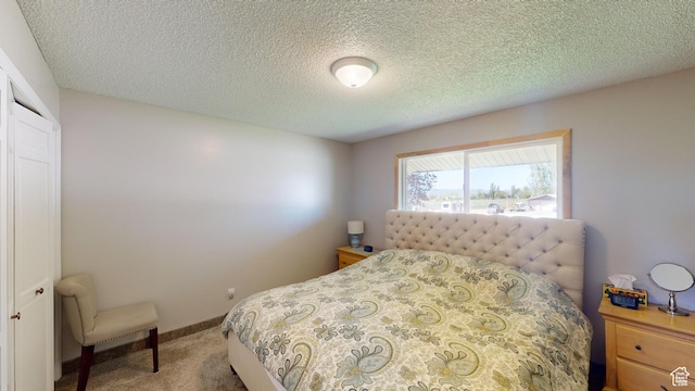 1207 S 600 W, Preston, ID 83263 - bedroom featuring light colored carpet and a textured ceiling