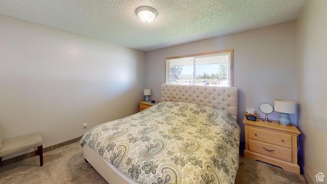 1207 S 600 W, Preston, ID 83263 - carpeted bedroom with a textured ceiling and baseboards