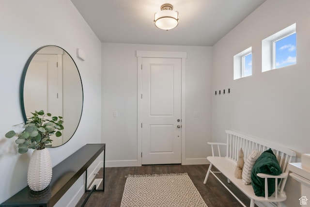 entryway featuring baseboards and dark wood-type flooring