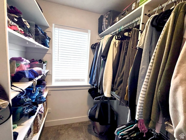 337 S 1540 E, Hyrum, UT 84319 - walk in closet with carpet