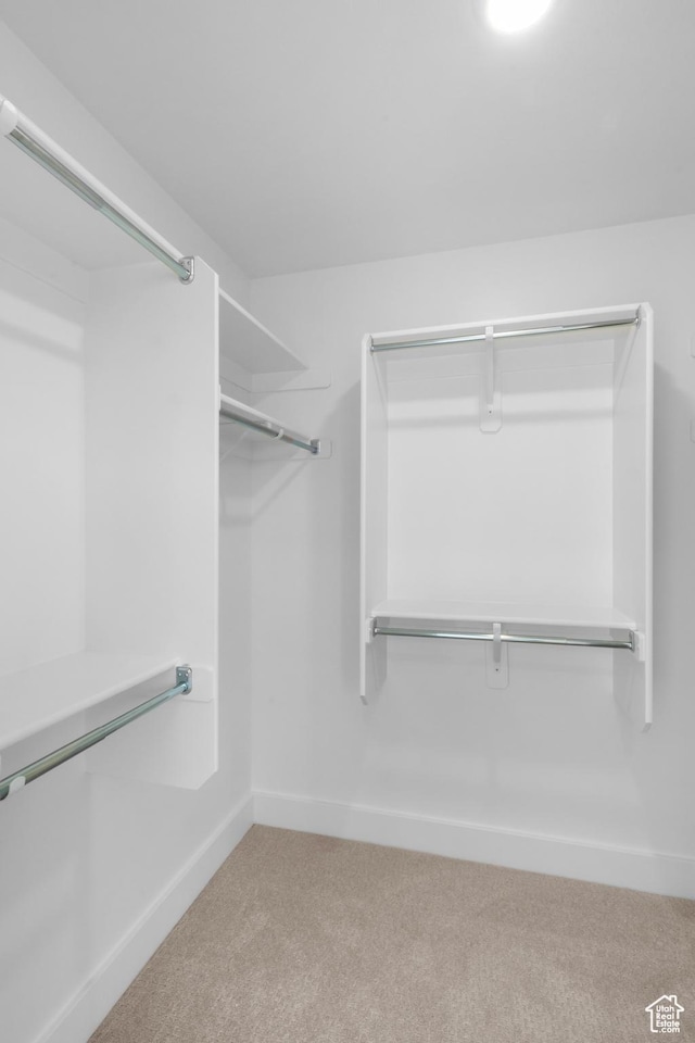 spacious closet featuring carpet flooring