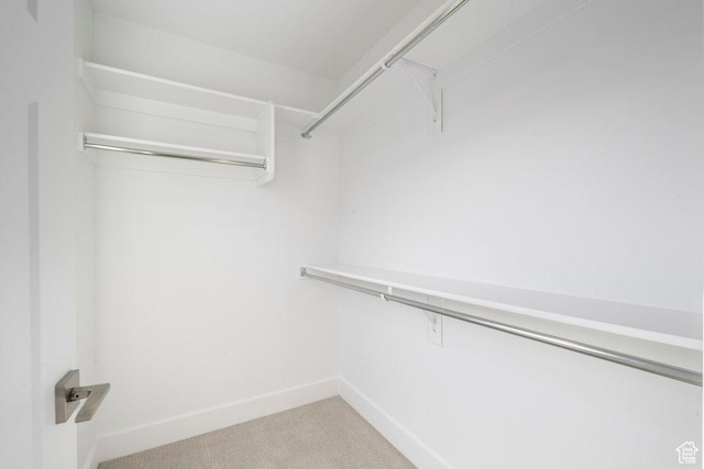 spacious closet featuring carpet floors