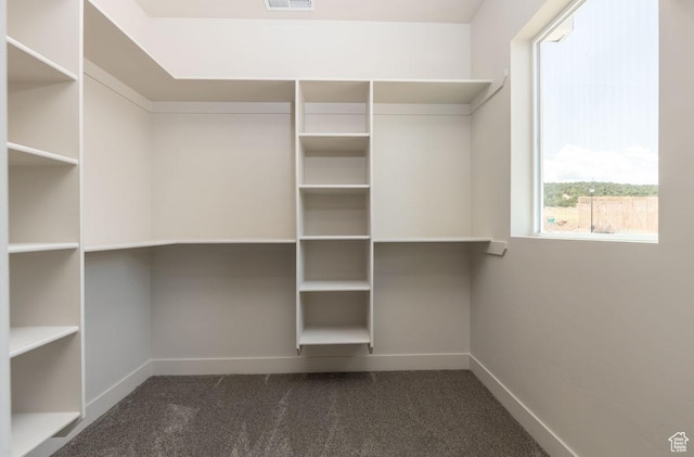 502 S Foundation Trl, Cedar City, UT 84720 - walk in closet with dark carpet