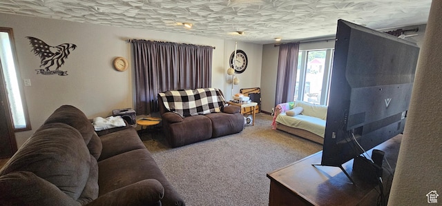 1433 W 2060 N, Helper, UT 84526 - view of carpeted living room