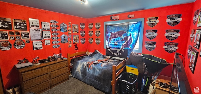 1433 W 2060 N, Helper, UT 84526 - view of carpeted bedroom