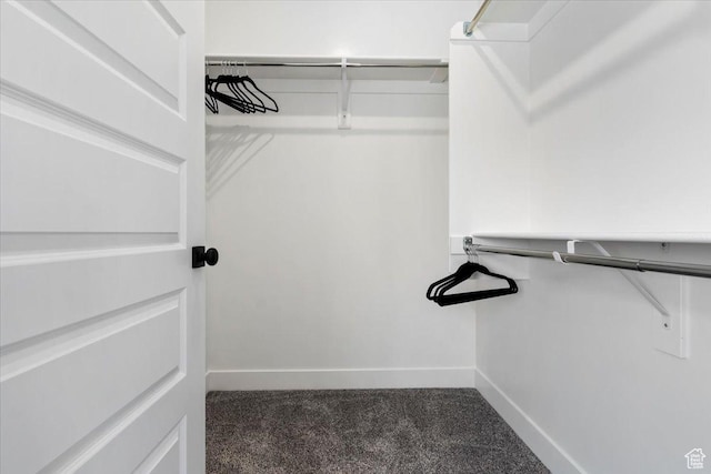971 W 1700 S Unit 114, Salt Lake City, UT 84104 - spacious closet with carpet