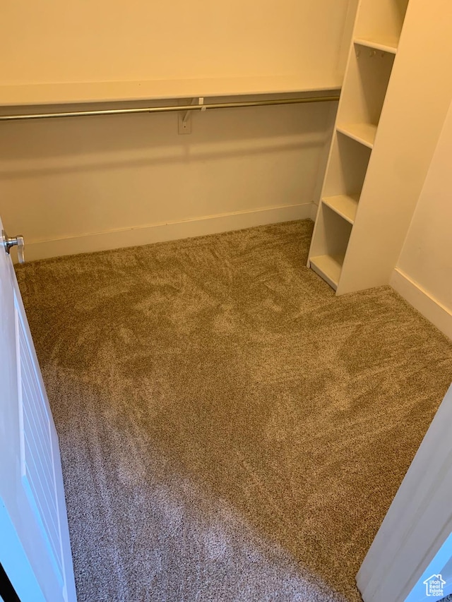 spacious closet with carpet flooring