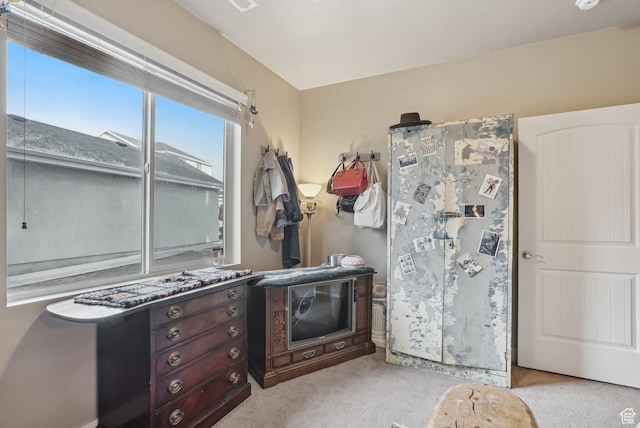 interior space with light carpet and dark brown cabinetry