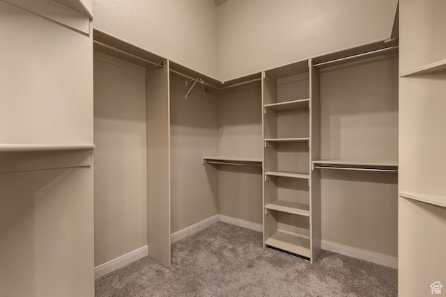 1815 N Red Mountain Dr, Santa Clara, UT 84765 - spacious closet with light carpet