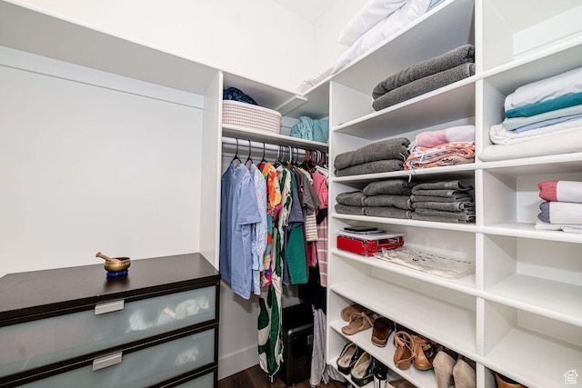 1959 E Deer Crest Cir N, Logan, UT 84341 - spacious closet with wood finished floors