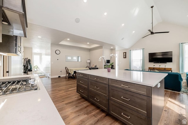 1959 E Deer Crest Cir N, Logan, UT 84341 - kitchen featuring light countertops, wood finished floors, and stainless steel gas cooktop