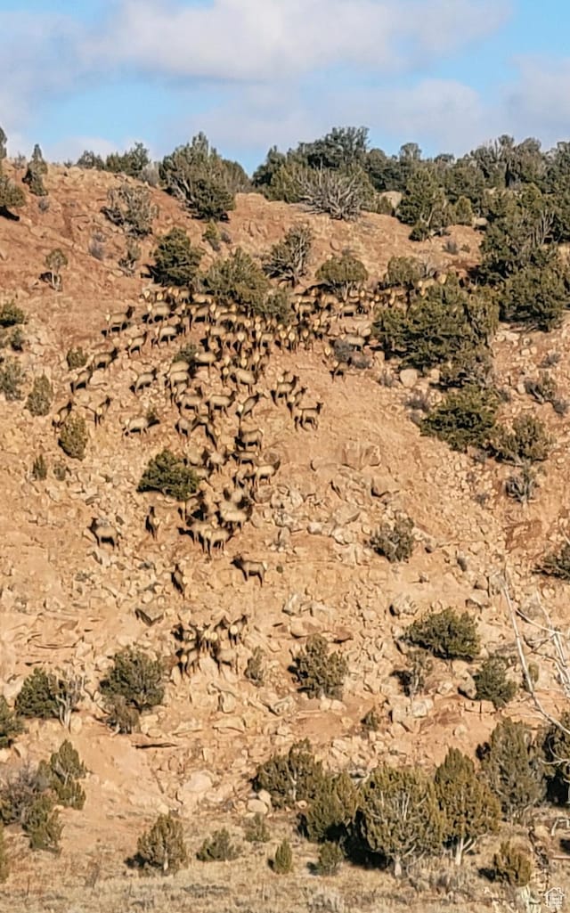 46501 W Bandanna Dr, Fruitland, UT 84027 - view of local wilderness