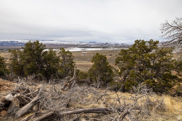 46501 W Bandanna Dr, Fruitland, UT 84027 - view of landscape