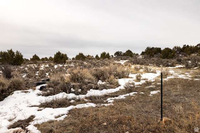 46501 W Bandanna Dr, Fruitland, UT 84027 - view of snowy landscape