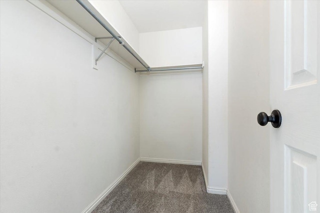 173 E Irisfield Dr S, Draper, UT 84020 - walk in closet featuring carpet flooring