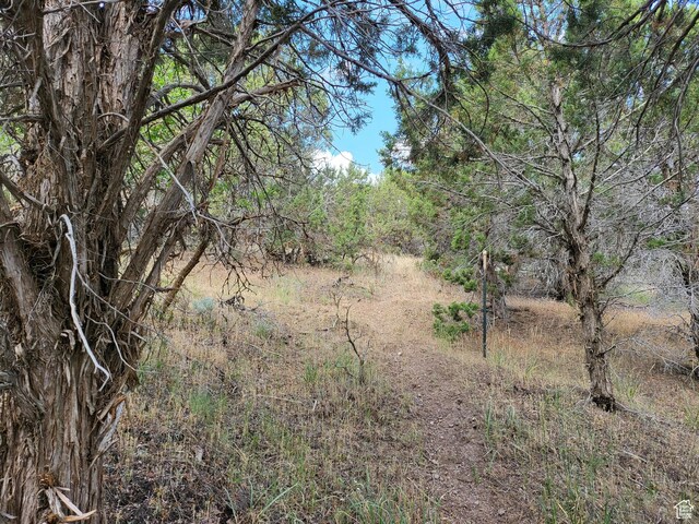 14712 S Shaggy Mountain Rd W, Herriman, UT 84096