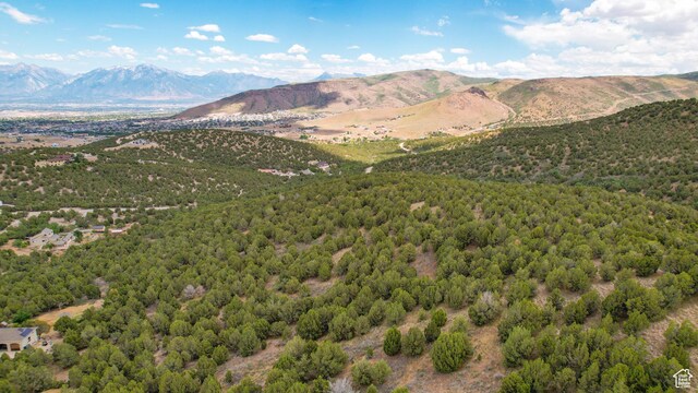 14712 S Shaggy Mountain Rd W, Herriman, UT 84096