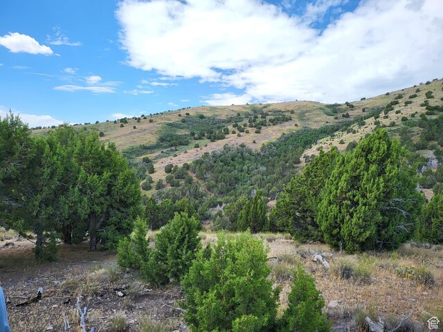 14712 S Shaggy Mountain Rd W, Herriman, UT 84096