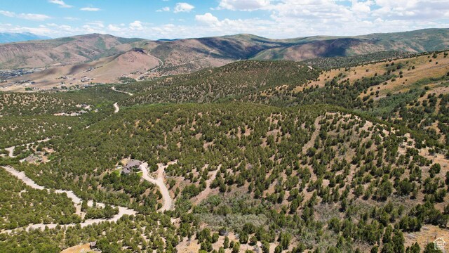 14712 S Shaggy Mountain Rd W, Herriman, UT 84096