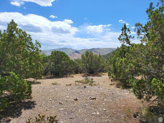 14712 S Shaggy Mountain Rd W, Herriman, UT 84096