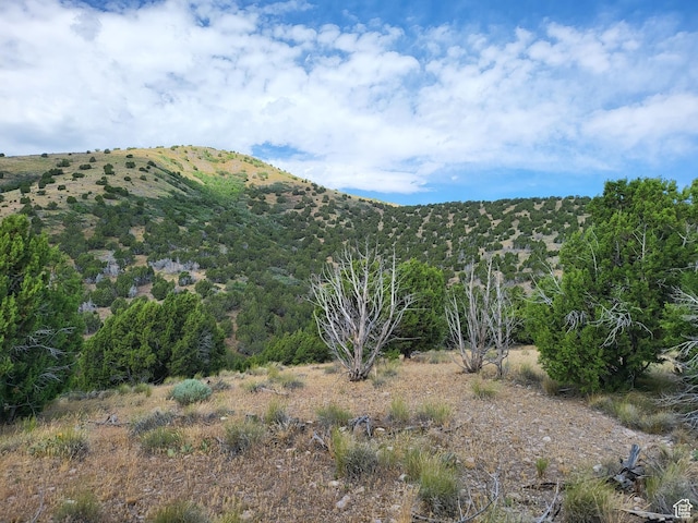 14712 S Shaggy Mountain Rd W, Herriman, UT 84096