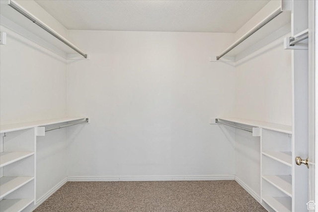 965 E 3400 N, Layton, UT 84040 - walk in closet with carpet flooring