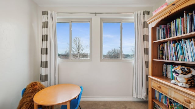 125 N 1430 E, Spanish Fork, UT 84660 - sitting room with healthy amount of natural light, baseboards, and carpet floors