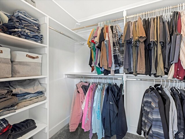 361 W 200 N, Heber City, UT 84032 - walk in closet with carpet floors