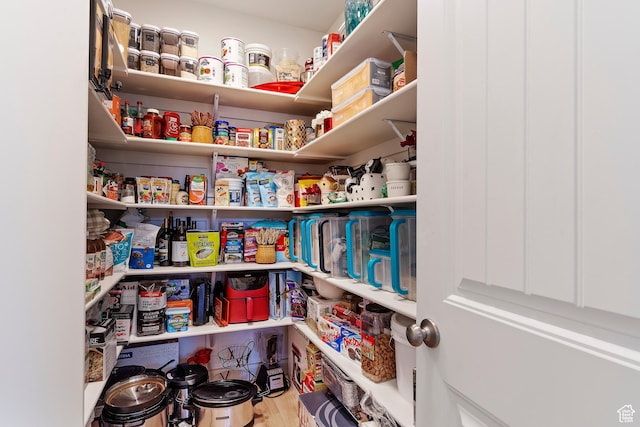 1251 N 2525 W, Clinton, UT 84015 - view of pantry