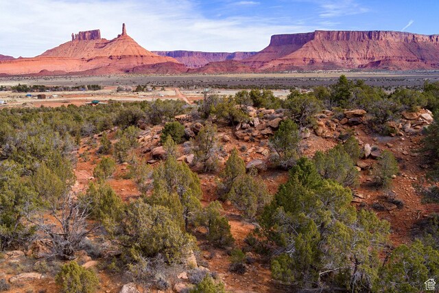 297 Holyoak Ln Unit 297, Castle Valley, UT 84532