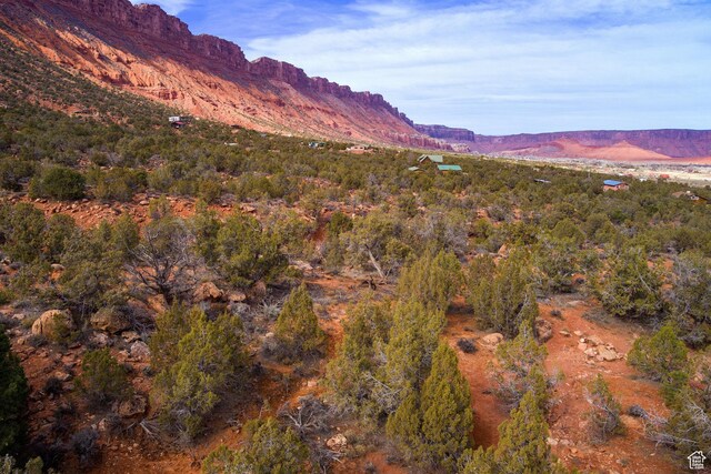 297 Holyoak Ln Unit 297, Castle Valley, UT 84532