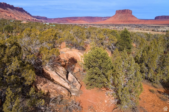 297 Holyoak Ln Unit 297, Castle Valley, UT 84532
