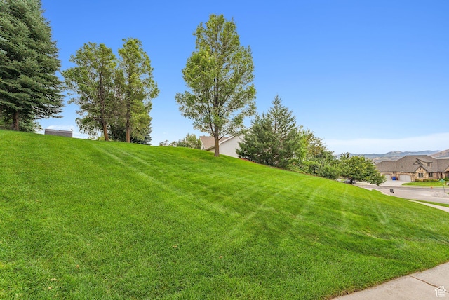 710 E Ridge Crest Ct S, Alpine, UT 84004 - view of yard