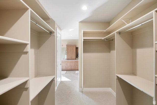882 E 740 S, Salem, UT 84653 - spacious closet with light colored carpet