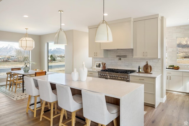 882 E 740 S, Salem, UT 84653 - kitchen featuring high end stainless steel range oven, decorative backsplash, light wood-style floors, light countertops, and recessed lighting