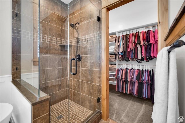 29125 N 11090 E, Fairview, UT 84629 - bathroom featuring a shower stall and a spacious closet