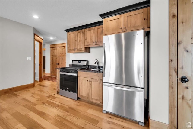 29125 N 11090 E, Fairview, UT 84629 - kitchen featuring recessed lighting, baseboards, a sink, light wood-style floors, and stainless steel appliances