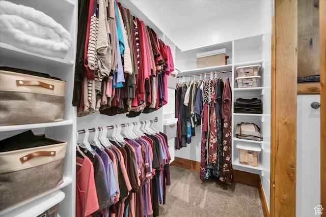 29125 N 11090 E, Fairview, UT 84629 - walk in closet featuring carpet floors