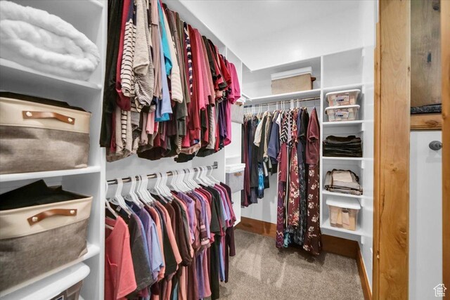 29125 N 11090 E, Fairview, UT 84629 - spacious closet with carpet floors