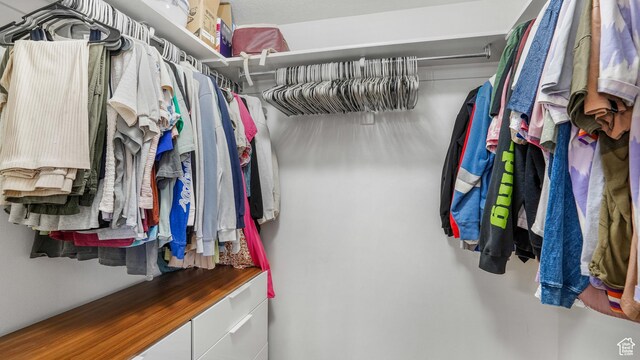 3477 E Rdg Route Rd Unit 5, Eagle Mountain, UT 84005 - view of walk in closet