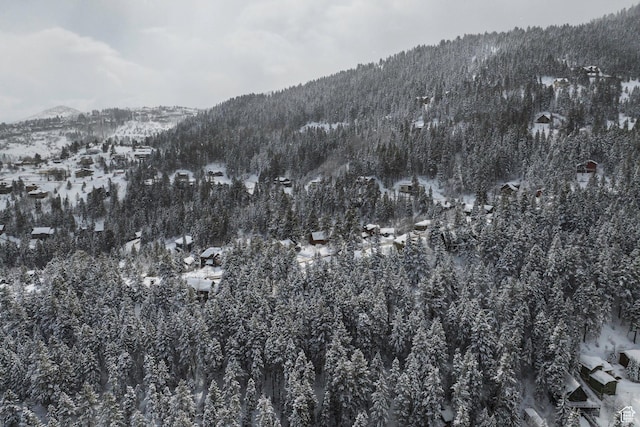 70 Matterhorn Dr, Park City, UT 84098