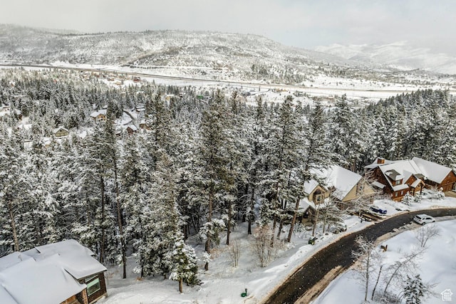 70 Matterhorn Dr, Park City, UT 84098