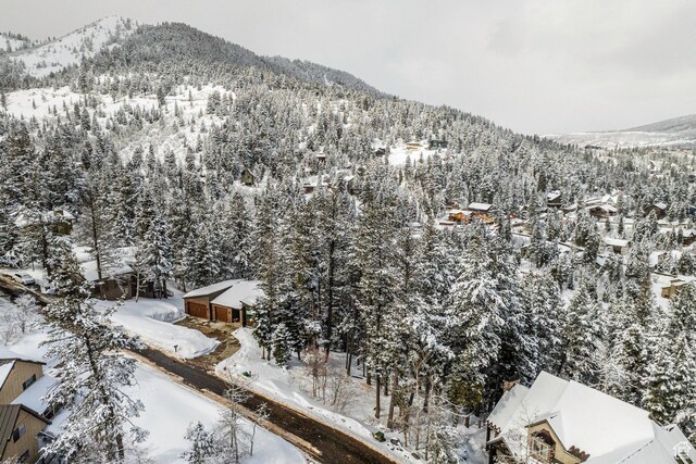 70 Matterhorn Dr, Park City, UT 84098