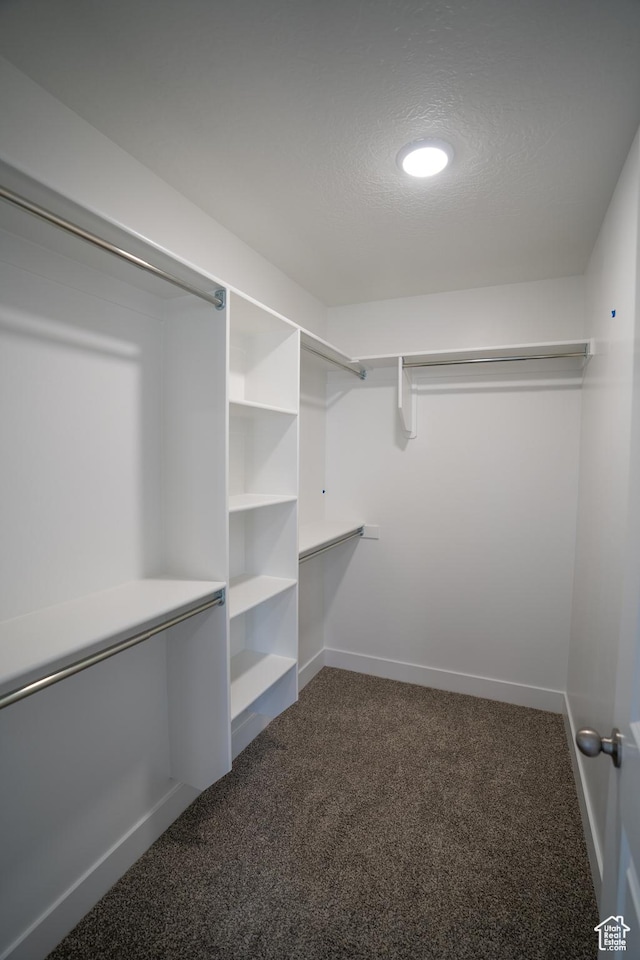 2277 E 3530 N Unit 511, Eagle Mountain, UT 84005 - walk in closet featuring dark carpet
