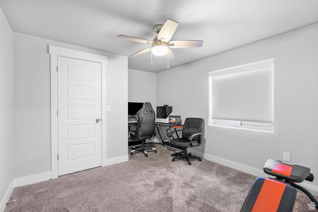 5131 N Stratford Dr W, Stansbury Park, UT 84074 - carpeted office space featuring baseboards and a ceiling fan