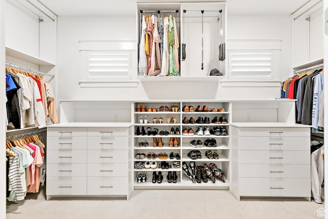 view of spacious closet