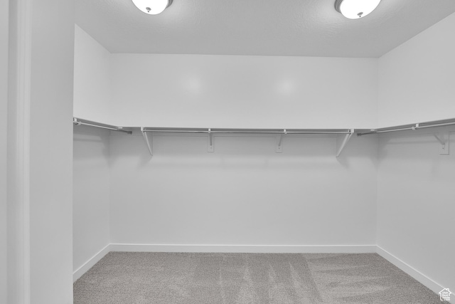1811 N 375 W Unit 8, Harrisville, UT 84404 - walk in closet with carpet flooring