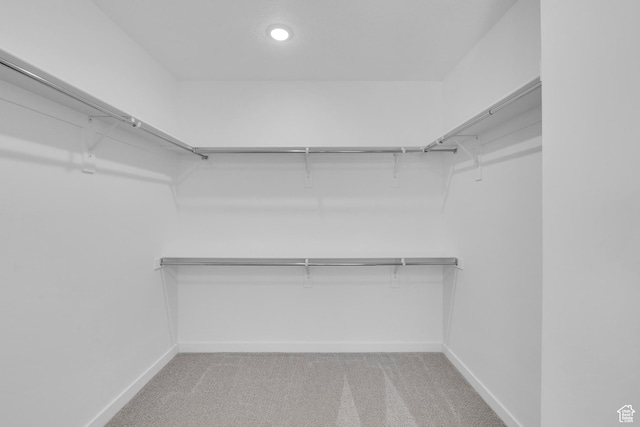 406 W 1225 N Unit 4, Harrisville, UT 84404 - walk in closet featuring light carpet